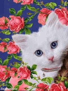 file_59629093