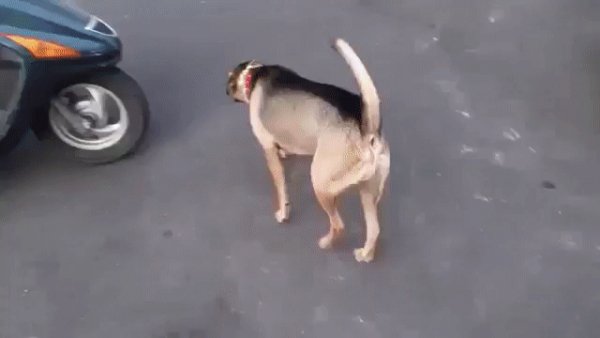 gif 1473878680