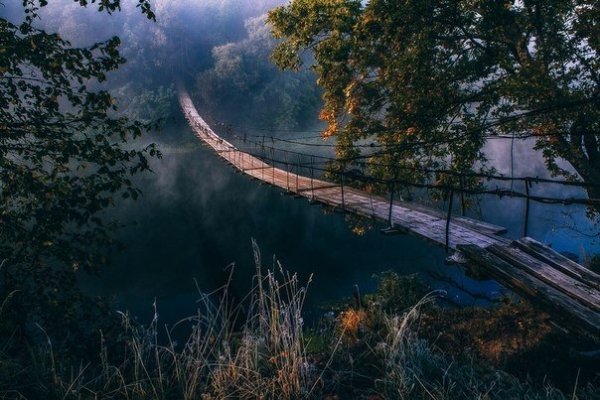 file_58509843