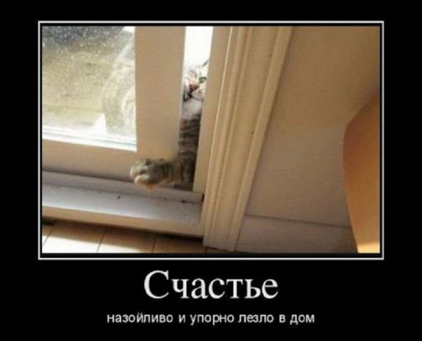 Счастье...