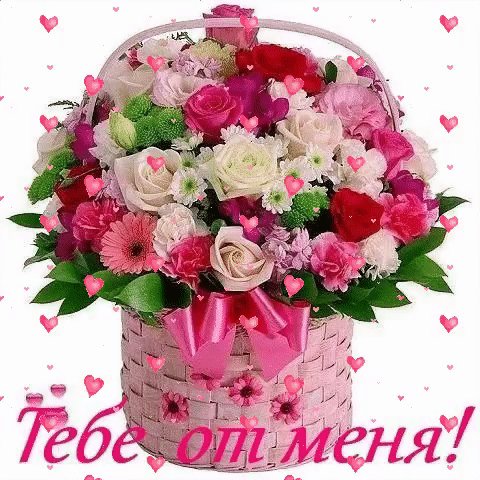 IMG 20171031 080145 19