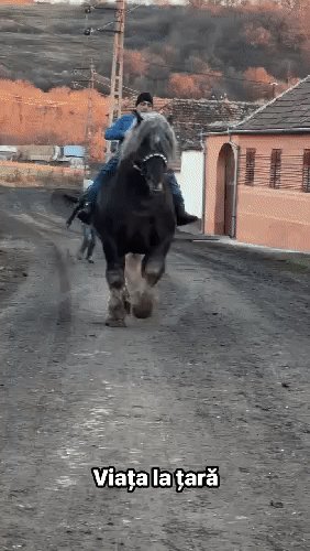 IMG 20251204 221246
