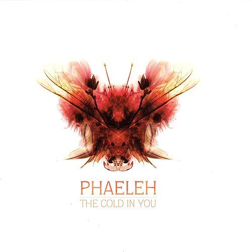 Phaeleh - Should be true
