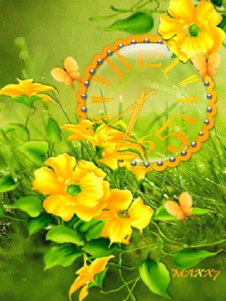Sunny Flowers