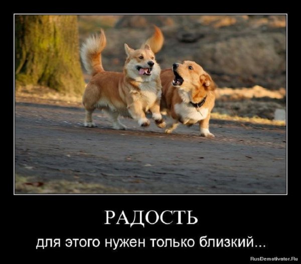 РАДОСТЬ