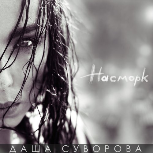 Даша Суворова - Чайки