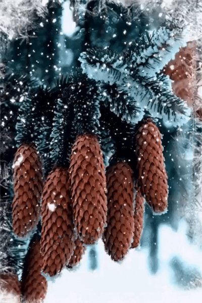 file_75259362