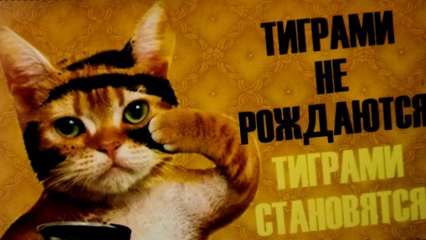 Верещагин Олег Николаевич Тиграми не рождаются fb2