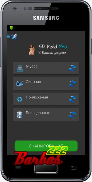 SD Maid Pro v3.1.4.7 (Nude girls 2) icons Lite.arm