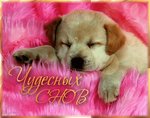 Анимированная открытка чудесных снов