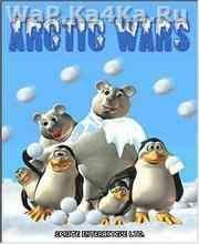 Arctic Wars