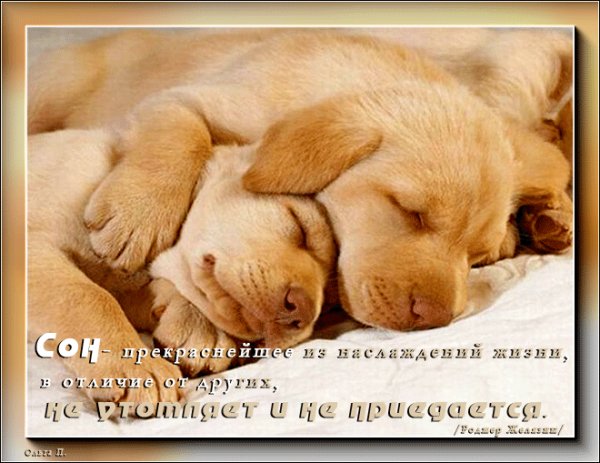file_75275152