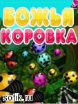 Божья коровка