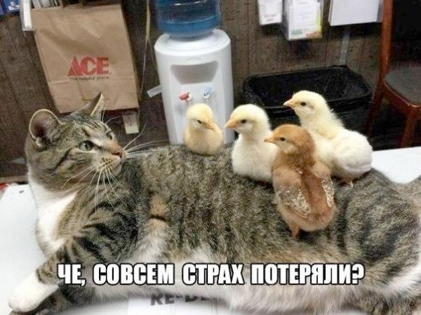 file_102586809