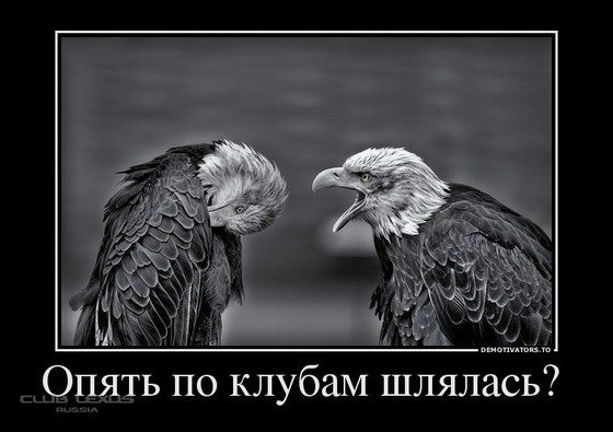 file_78822208