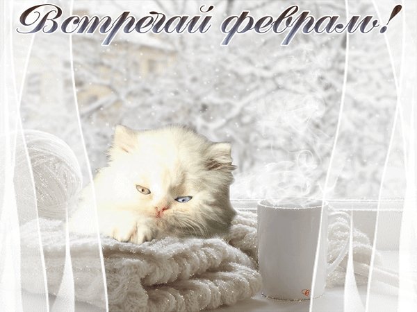 Встречай Февраль !