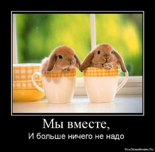 Мы вместе...