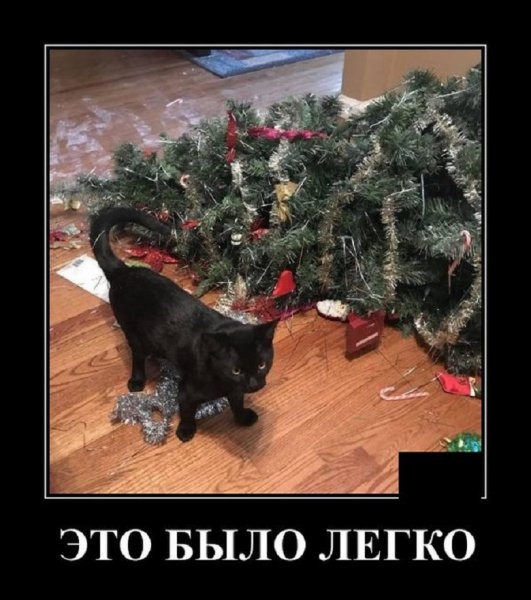 Это было легко