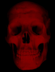 horror