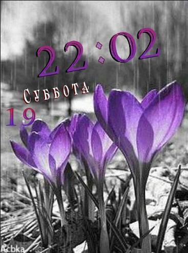 Весенний дождь Цифр.часы.день.дата.Фл.2.