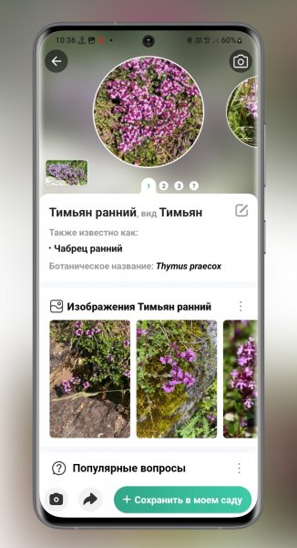 Plant Identifier v3.75 Pro