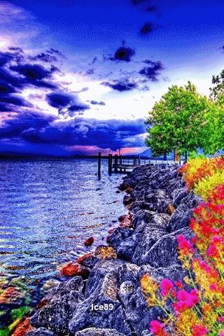 file_51624232