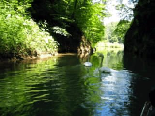 file_44544479