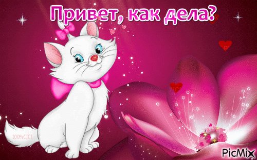 Привет, как дела?