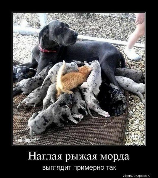 IMG 20161030 160226 0