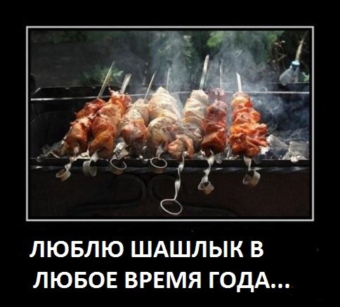 Люблю шашлык...