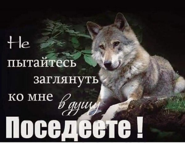 FB IMG 1627249638261