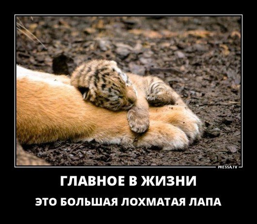 file_78491757