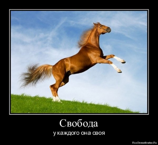 СВОБОДА