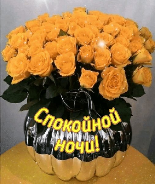 file_81953639