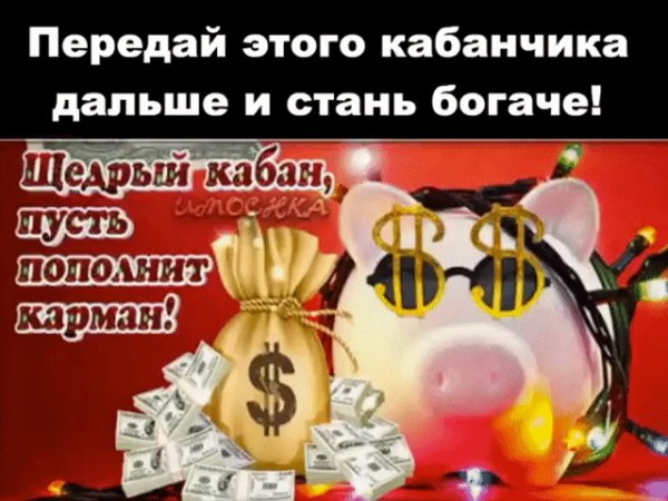 IMG 20190205 014615