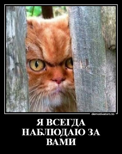 Я всегда наблюдаю за вами