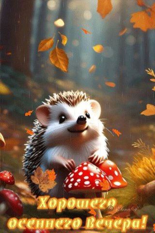 file_94820033