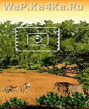 Big Game Safari 2