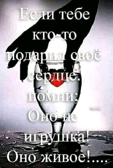 IMG 20260221 021237