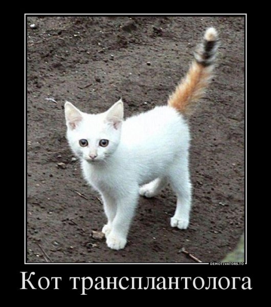 file_65108782