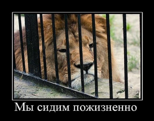 Мы сидим пожизненно...