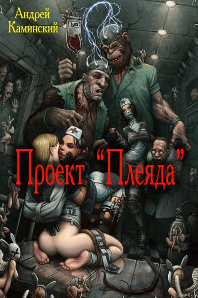 Каминский. Проект Плеяда
