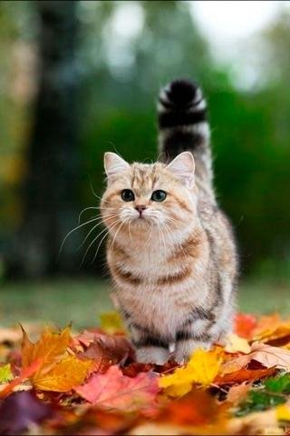 file_88531083