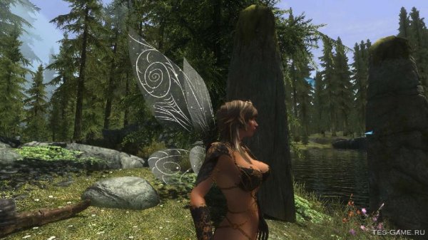 FairyWings