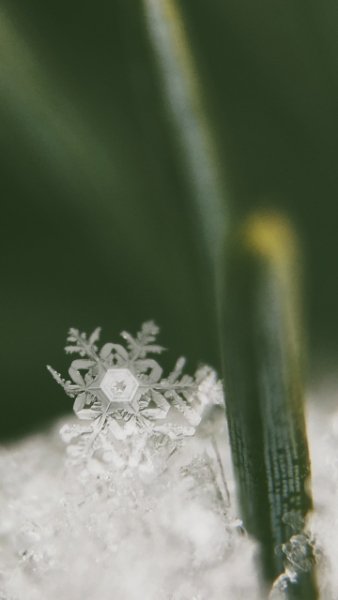 wallpaper 360x640 21 54