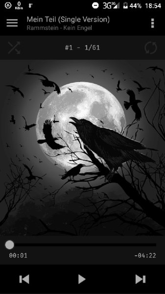 Black Raven