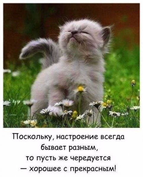 image (22)