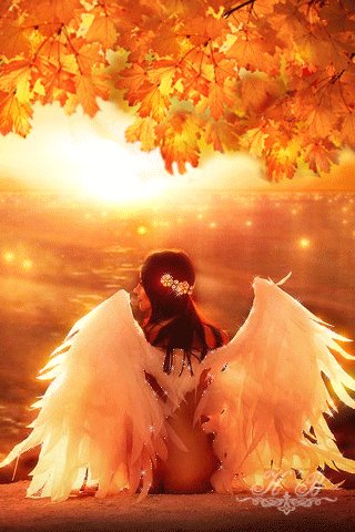 file_59264055