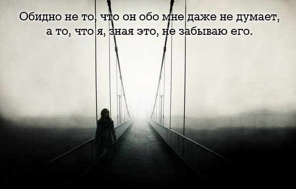 images 4833
