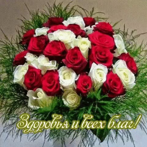 здоровья и всех благ
